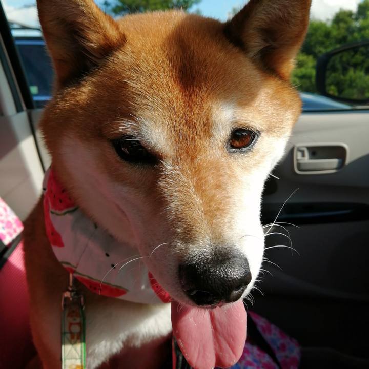 842ecf5d 3ace 455b 96fd e9e1efd7a467 1658047468954