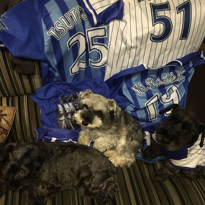 842f0b5a d3f7 4b92 83dd 2a3a645e20d5 1508853304685