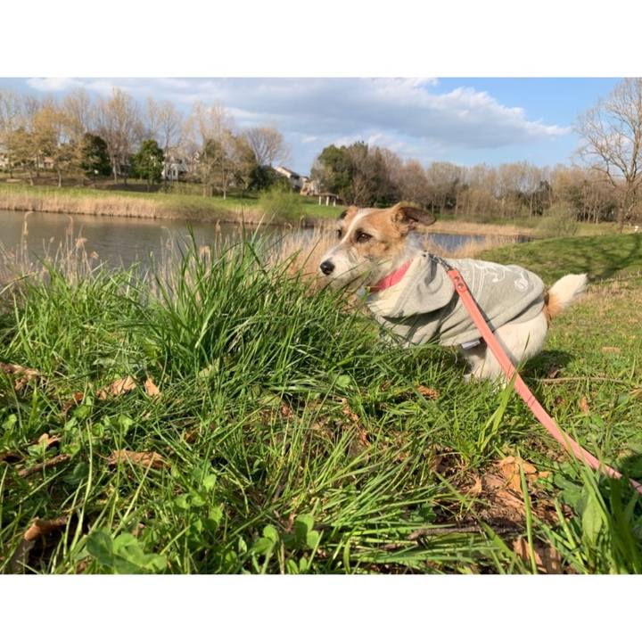 842f1890 a30c 4f29 8db5 3ed83419855f 1584951763486