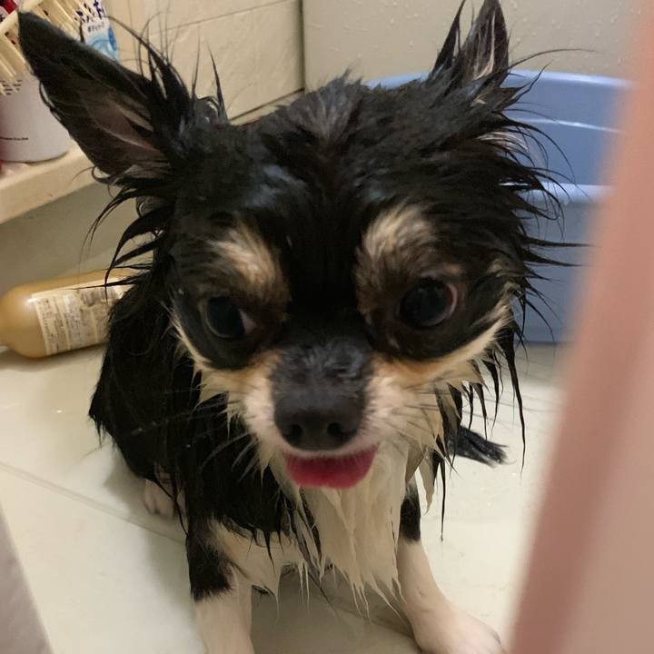 842f2db0 0482 4393 a720 83eaeda75929 1758894227198