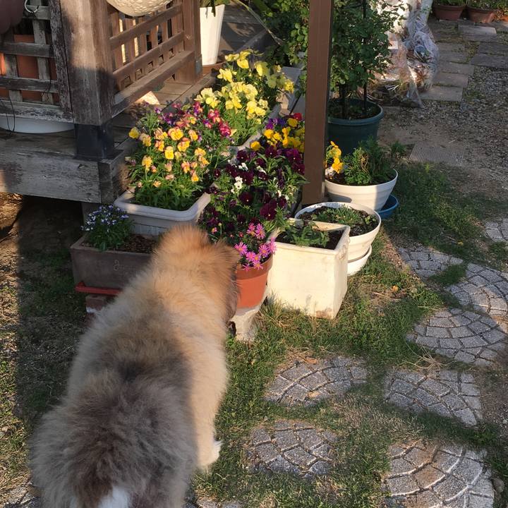 842f3ba0 3cfa 426d b966 bcd6e6b6f242 1557651373512