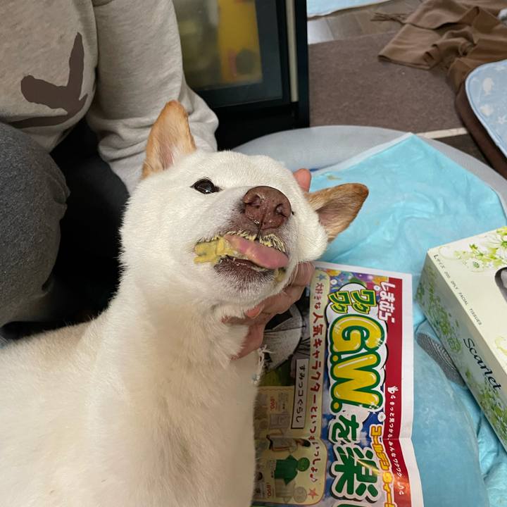 842f85a9 5b10 416c ade2 b97d375c0e3d 1652706256143