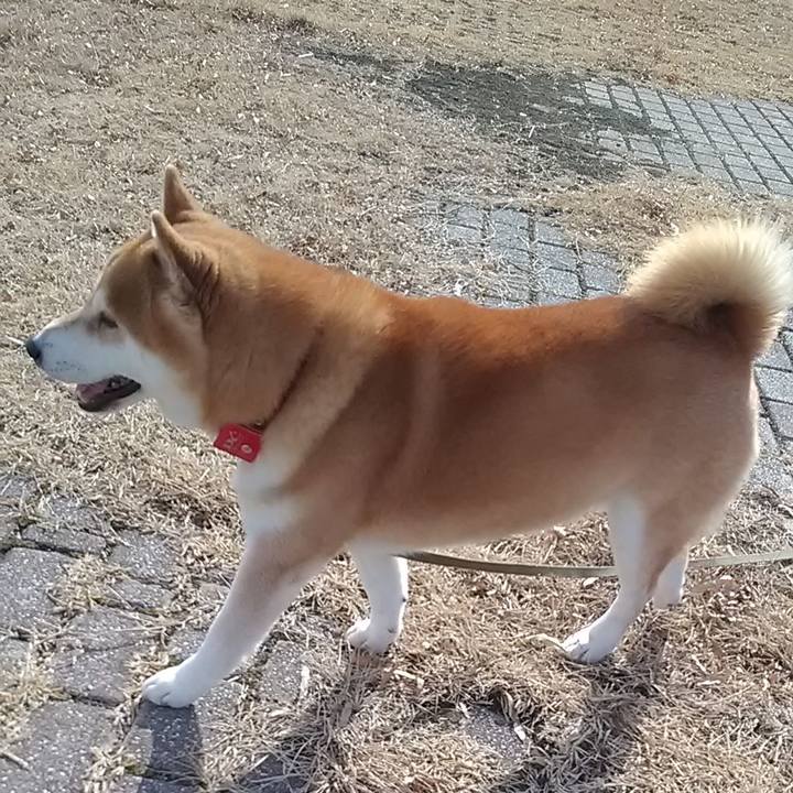 842f9909 d493 42d1 a239 519f3398c132 1673152423637