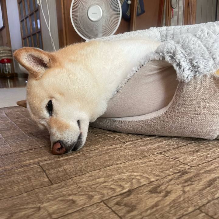 842f9af9 b0f0 459c 91d0 841386159cea 1659321710591