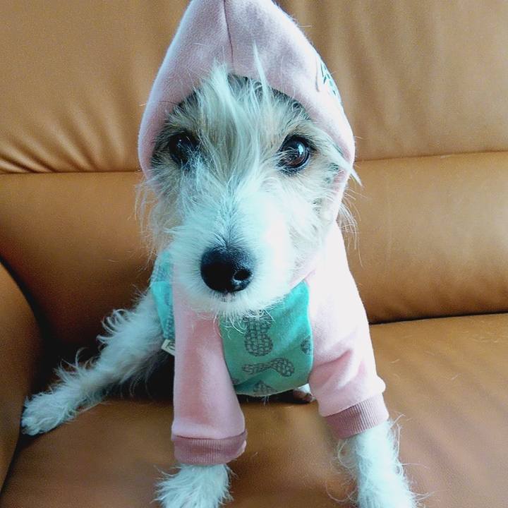 842f9c8d 798c 42a3 9175 075c5075075a 1585999284421