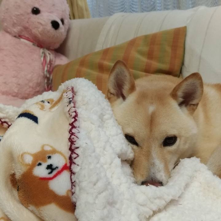 84301a80 80b8 45d4 ace8 e5aab7f46c0a 1539388264145