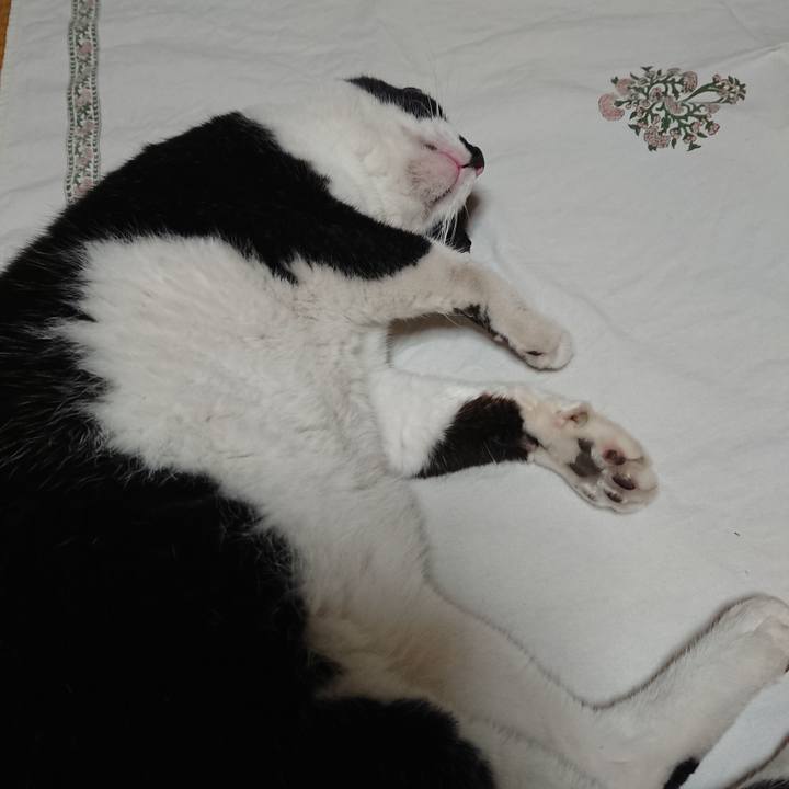 84302cde 5c02 41ab 8678 5d40484060f3 1662285980822