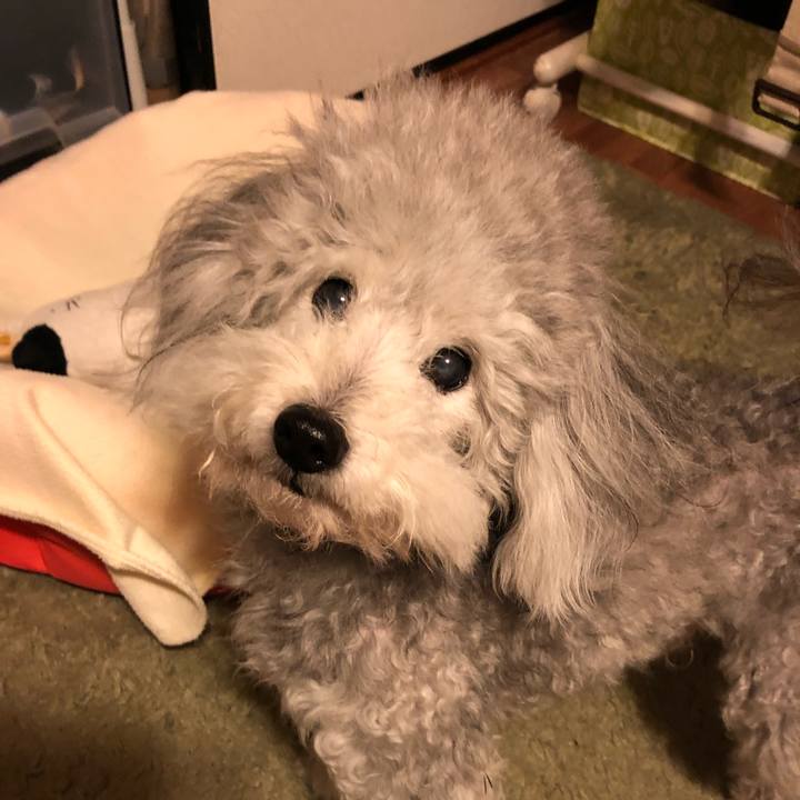 8430352a 4960 4e20 bd15 3fd19cd0c83f 1522328358886