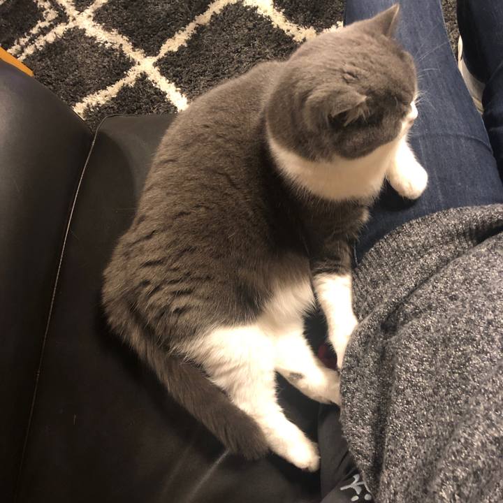 843035dd e6a9 473b 93dd 93fb2ff5bd84 1575977459817