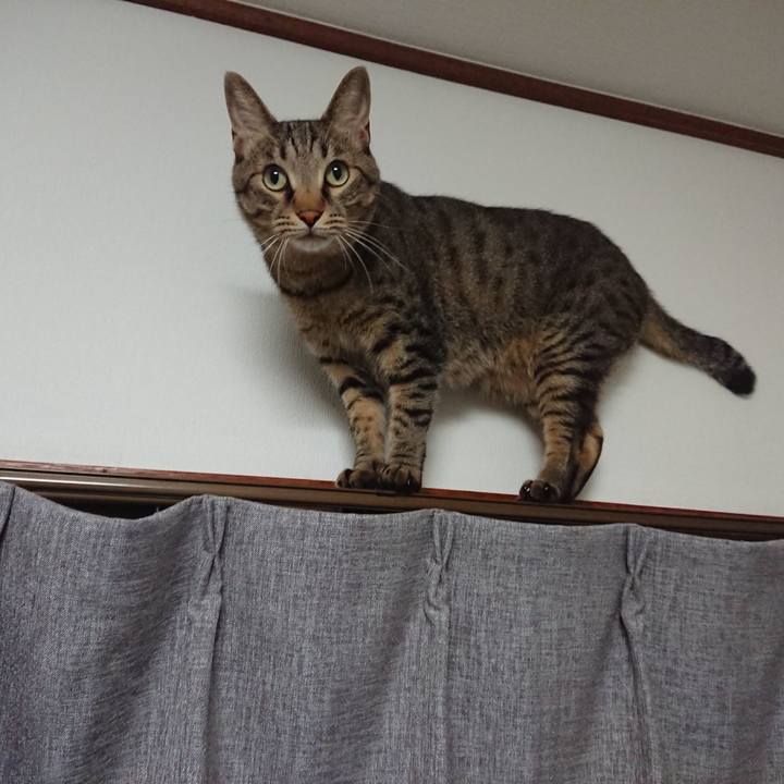 84304568 903f 446d 8255 5ca64ec5c206 1532012963559