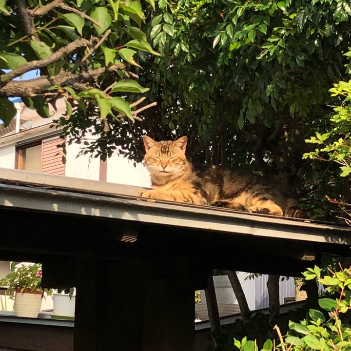 843047b9 ea8b 4120 83cc f3347a8da2d5 1529412391997