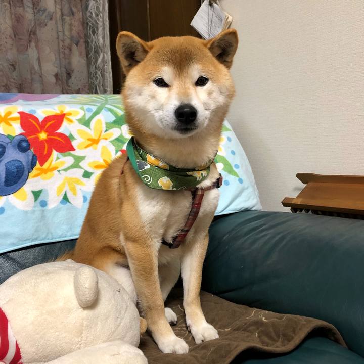 843048a8 4e11 417e a9a8 77c02e20ebde 1553081388300