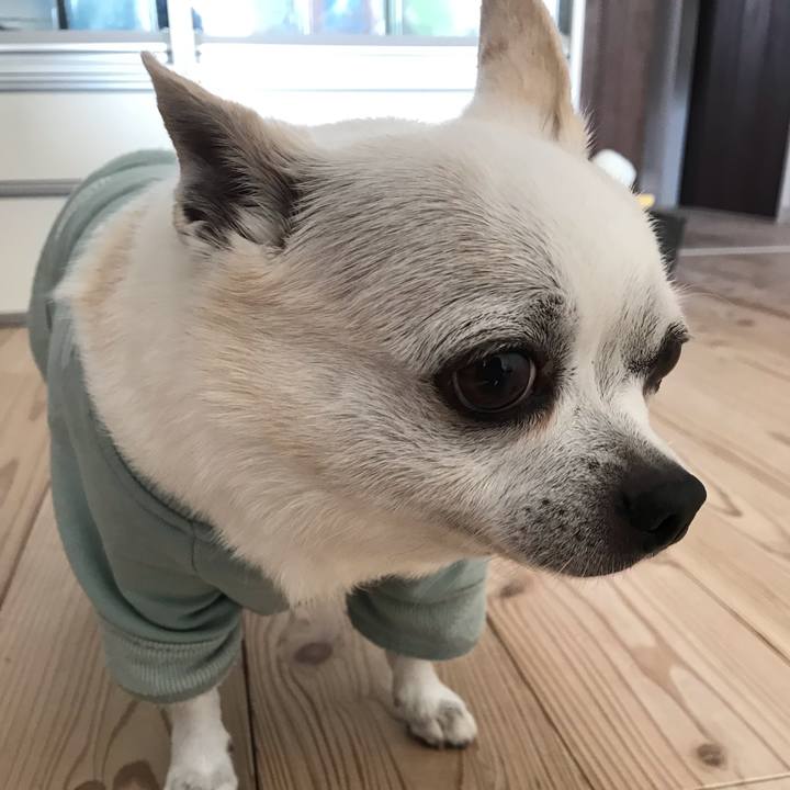 84308e51 60f5 4074 85fb 113f3683253b 1648854232421