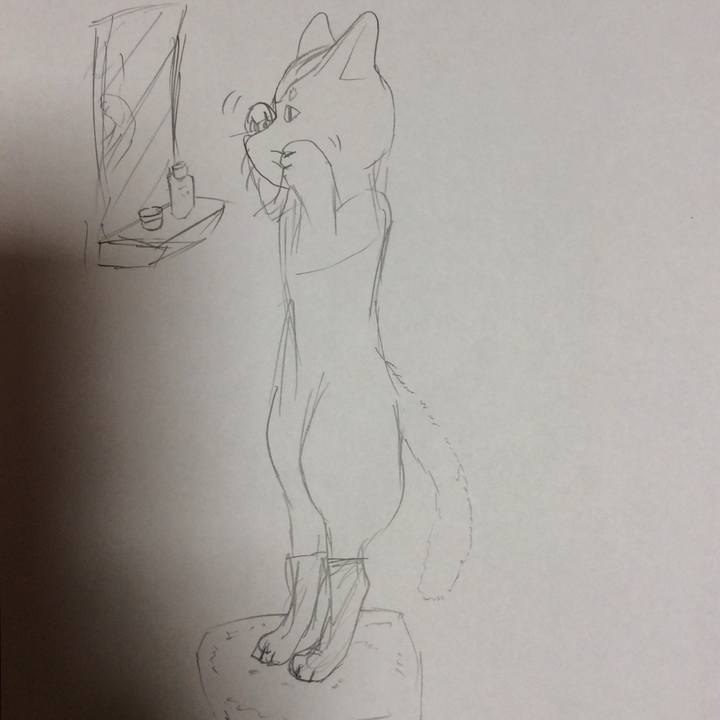 8430ad3c 593b 4cc6 9ff5 65a6de734c69 1570289138928