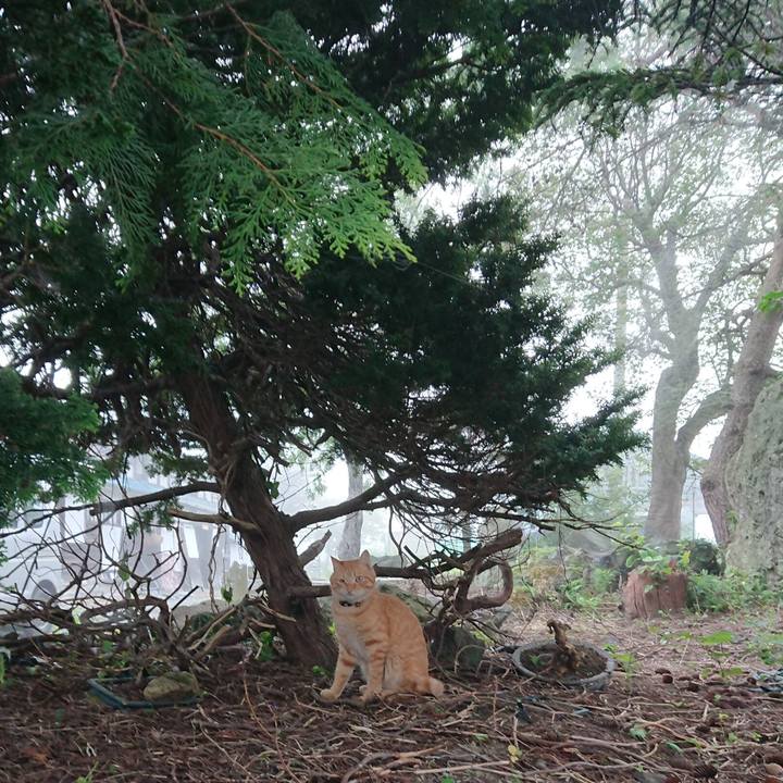 8430b168 1518 4c86 9e2e 81224510df7a 1663018356945