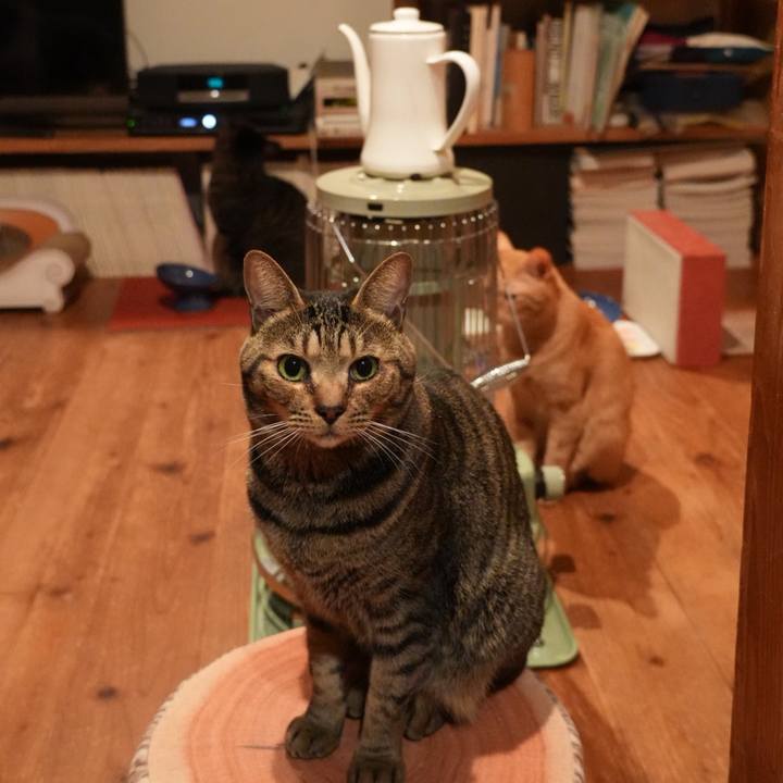 8430c30d eb36 437d 831c d9d28f68c9ad 1763295532294