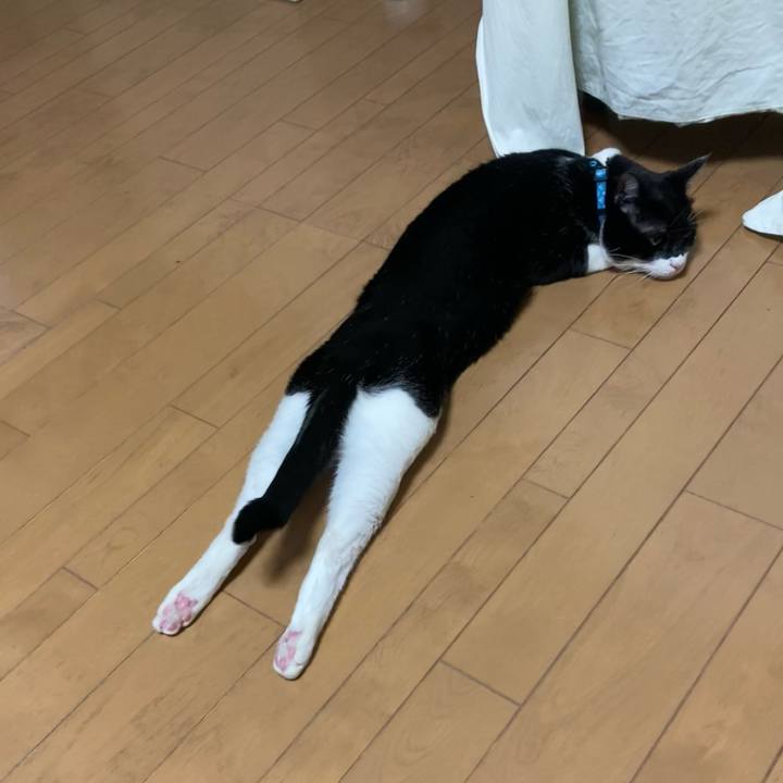 8430c447 f5c2 4d41 9ae5 1d90d4e2d682 1716464341629