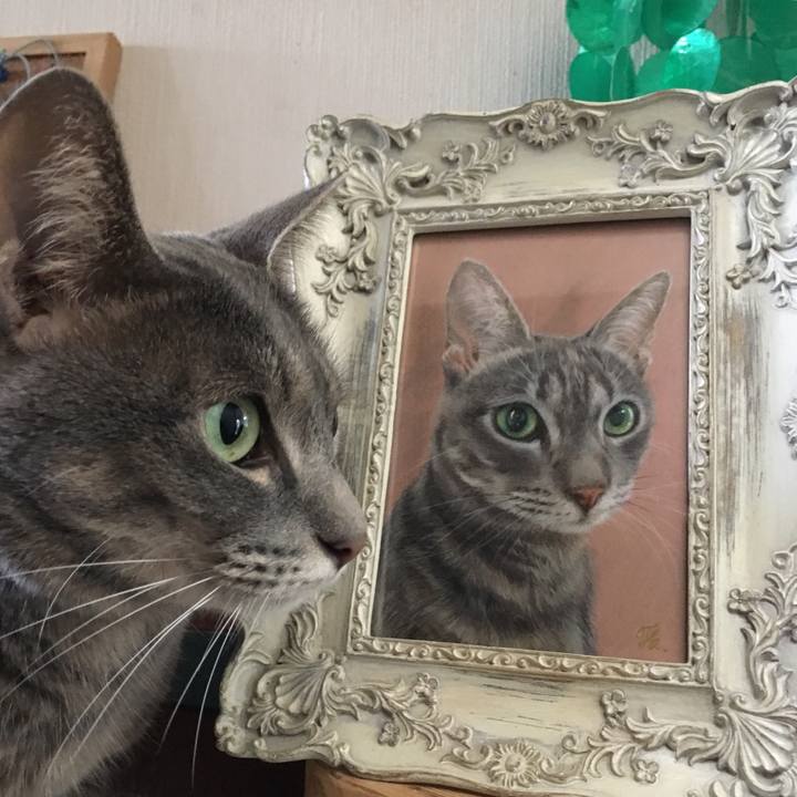 8430d2ce 427a 4167 a7c9 471d1444d994 1568444266207