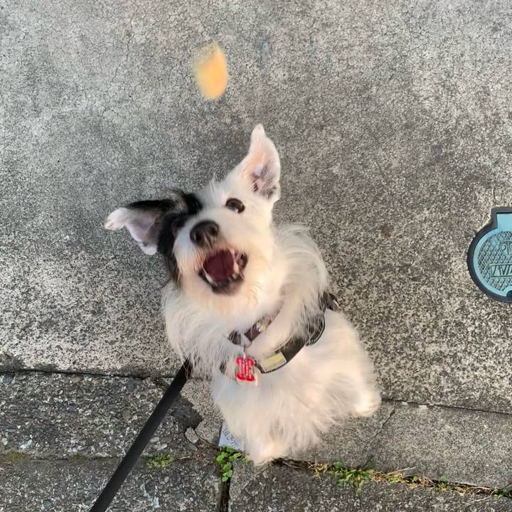 8430e35f 68f3 4064 ad24 ef35b2b9155d 1698910883701