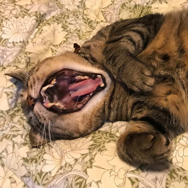 8430e767 0f9b 44c0 9288 bb49a612e327 1563649076413