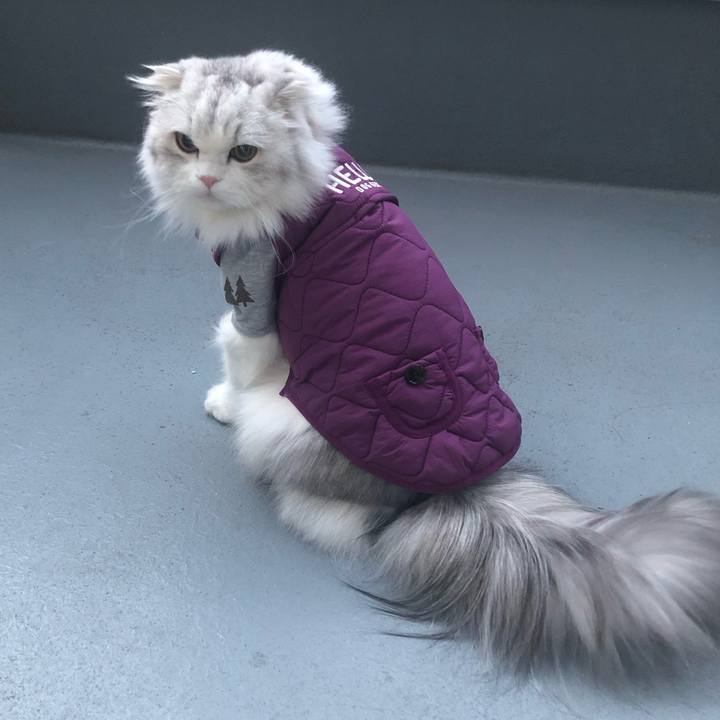 8430e8ee 07a4 4c72 8c2b 3fa70febce54 1670709555755