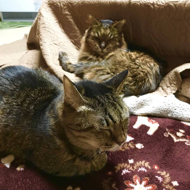 84312677 2cfd 43dd b105 dfff3469d91b 1512217967430