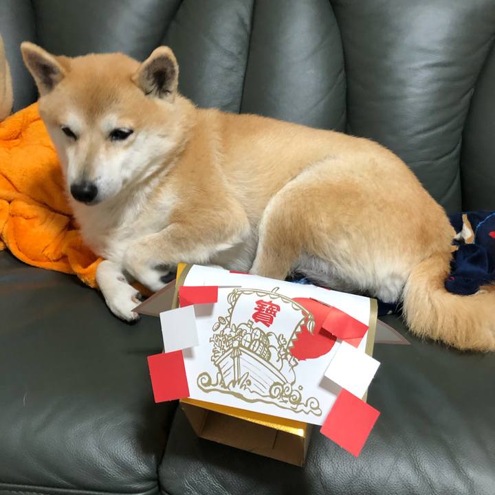 8431b9dd ad84 49a2 8bc4 6d7dd6940705 1578726059200