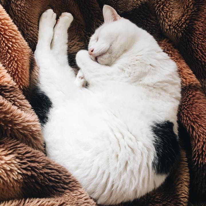 8431cc3b 8d39 4cd8 8e2f e7a91cb85a16 1556498245404