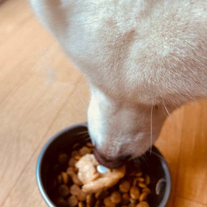 8431d9d3 3d63 4d81 aba2 f32fc9b60182 1727737299002