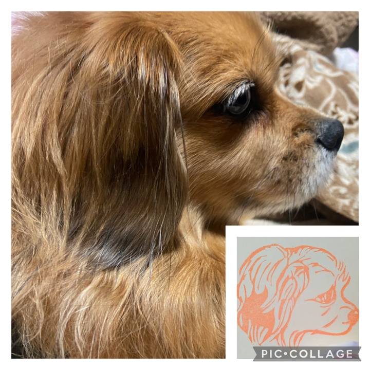 8431e199 47bd 4754 9c3f d3d7118259c5 1673432611096