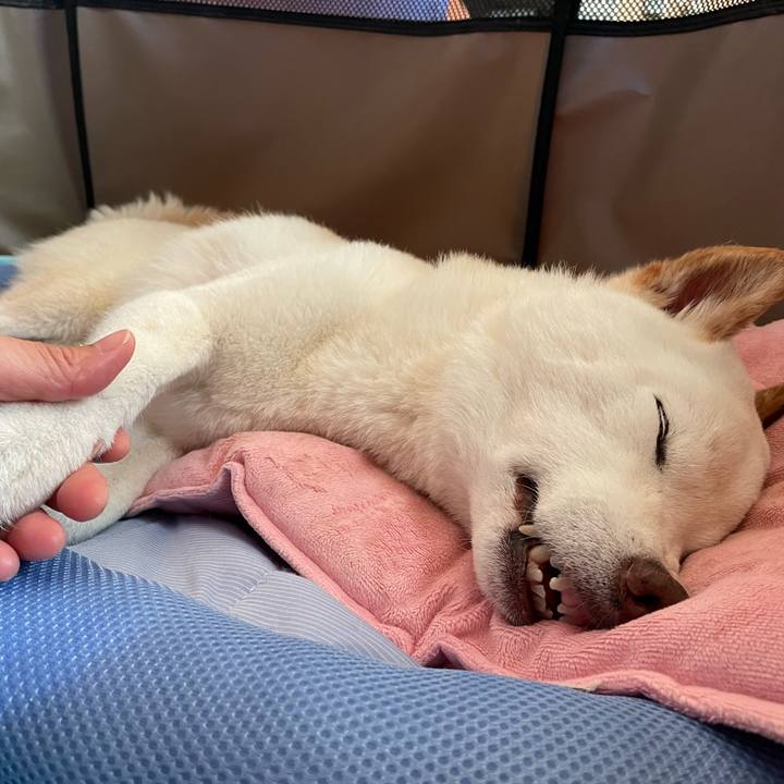 8431f15f 61ad 4f7b a789 434ea892a831 1658535237345