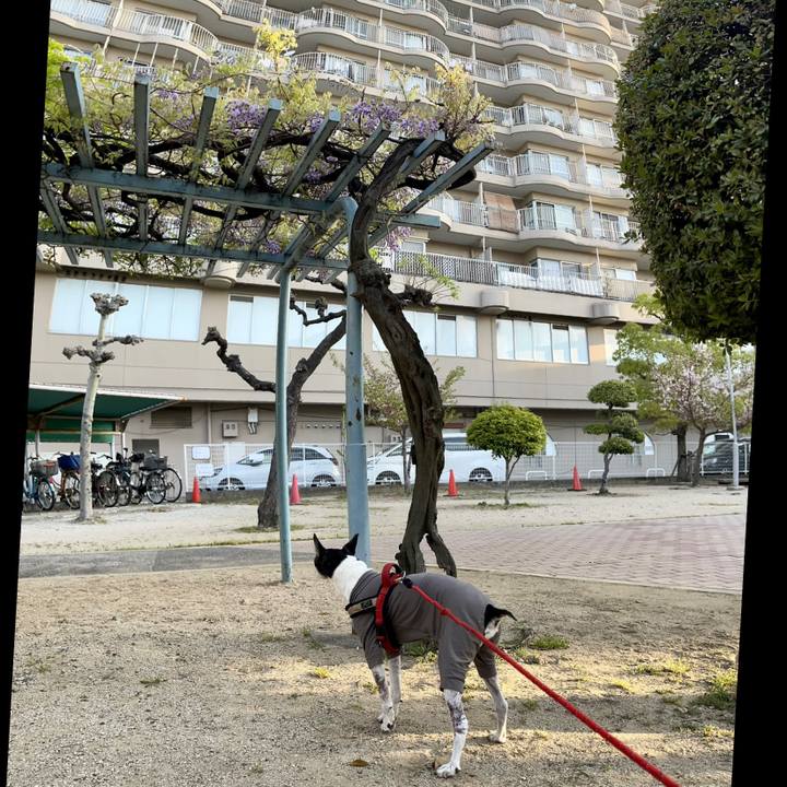 8431fe79 1a85 4fa8 b132 4ba2150045d4 1649713167755