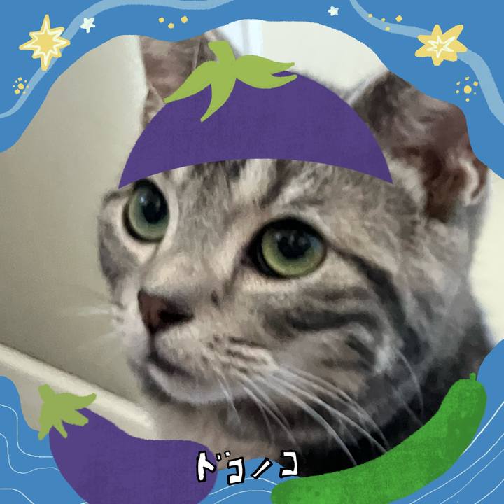 84322727 f0cf 4f75 9a16 bee49cdc8118 1755059342044
