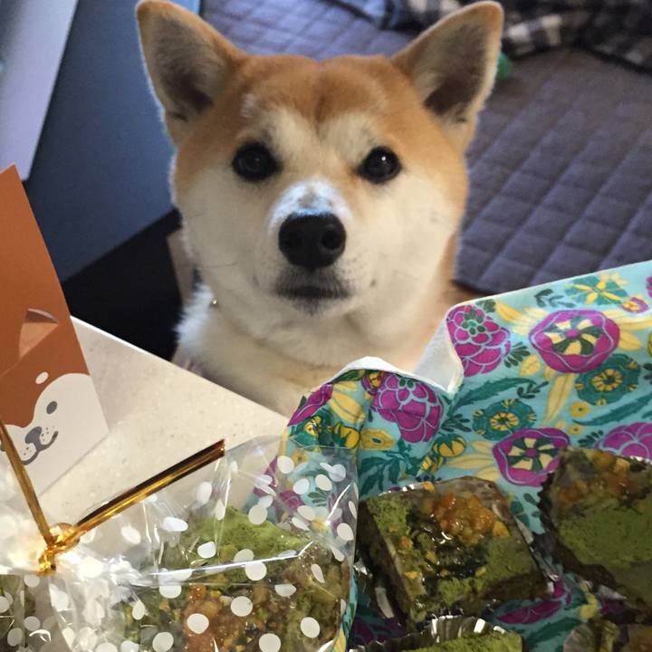 84324eb8 b48f 4d26 810d ff5b1036aa88 1518566990406