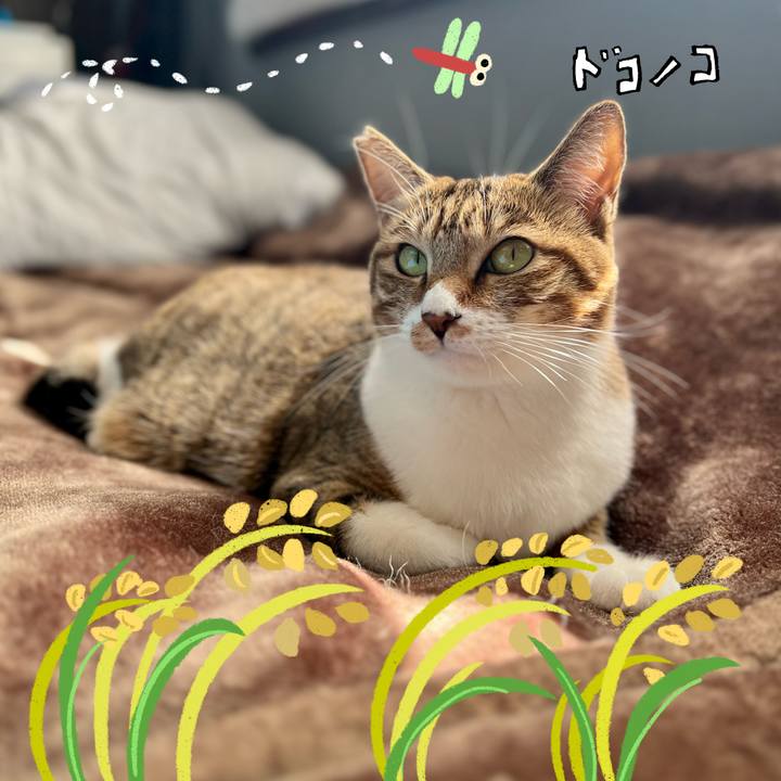 84326b90 7ebc 4f84 abfe f5d101db8864 1761315791036