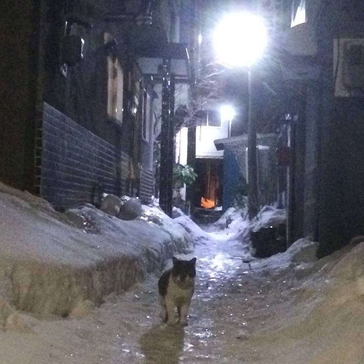 8432c51b f713 4e6f 8981 ca3377bc2732 1546877259418