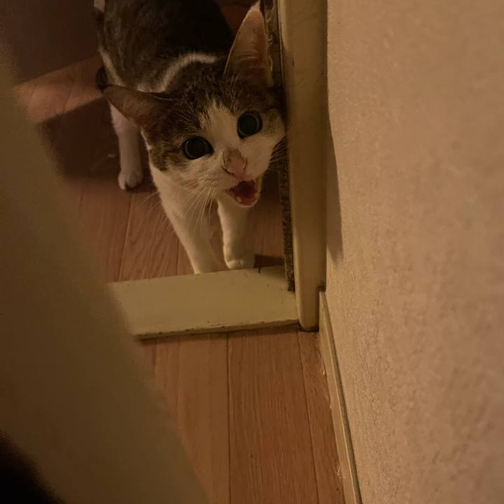 8432dd9b 9933 475e 9514 dd5964759006 1630919313021