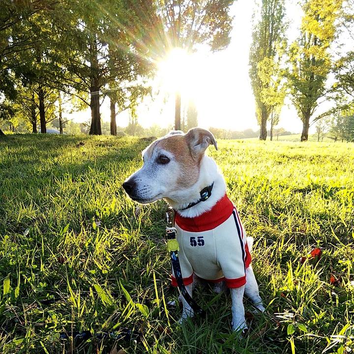 8432e01f c47a 43b2 89a9 faa1b9e25bba 1572688062461