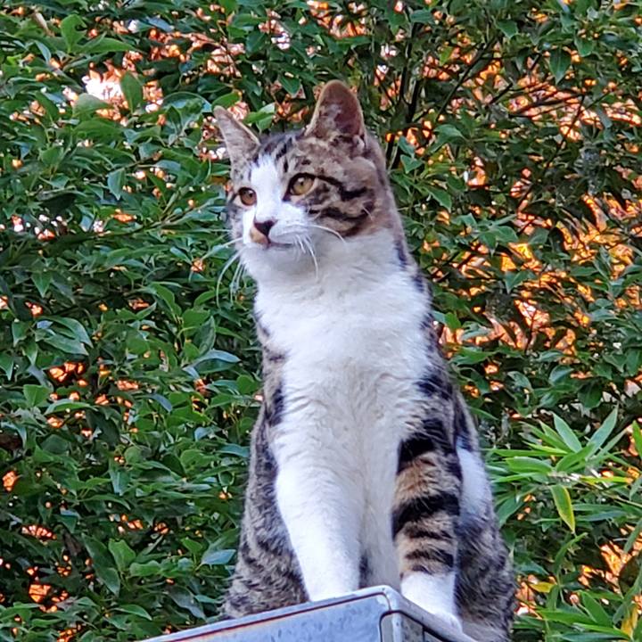 8432e408 3e38 40a8 b505 85ab4b1b5031 1733300472500