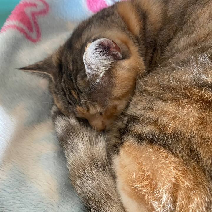 8432e4bf 8127 43ad 8f85 c15969bf6ef0 1587690035401