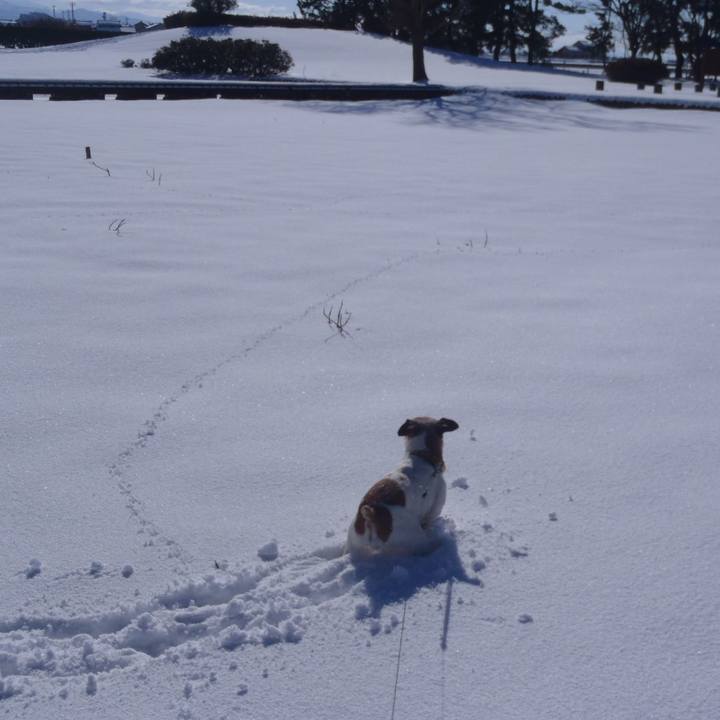 8433095b 6b5d 4bb2 b70c d526ff21bf0a 1515936368991