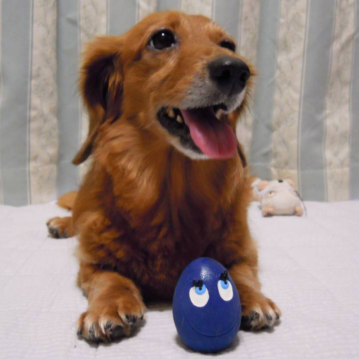 84331e2e 30ae 402f 8596 08fed71170ca 1553361127525