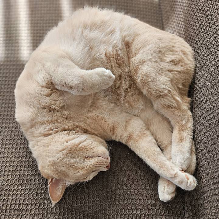 84332b78 15ce 4bbe 8602 83bc9a601a4f 1726460834047