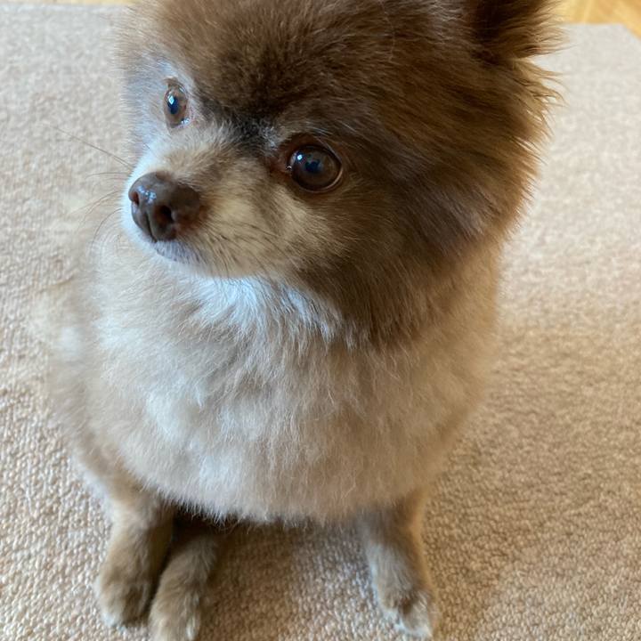 843331d8 56c4 43d4 8332 72f30c6aa84c 1652652478926