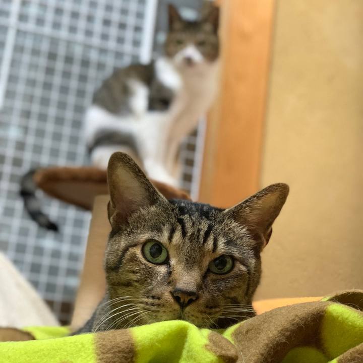 843346b5 2197 41a2 9790 33d63780bf58 1576803091151