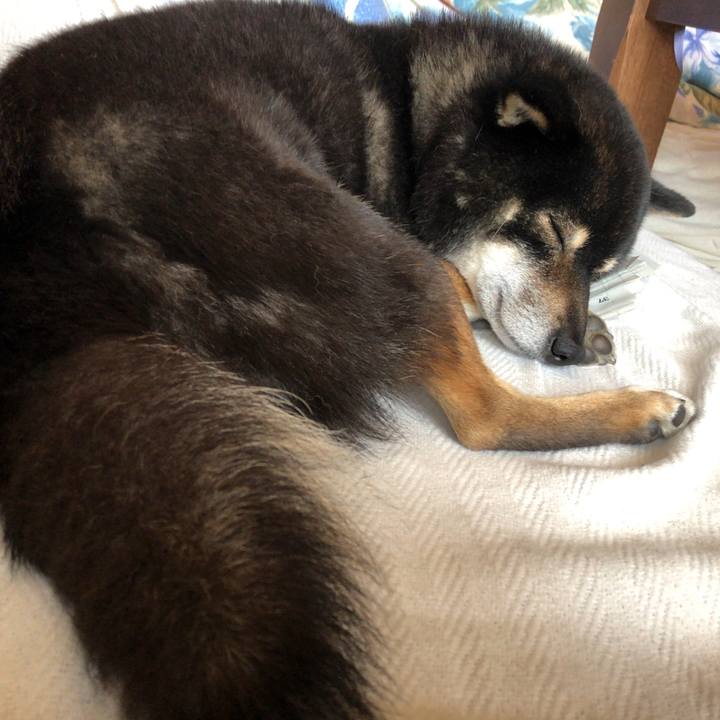 843352f1 d9af 4f51 acd0 71c2d5a4ecd9 1557542707585