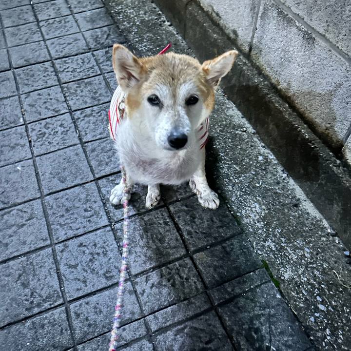 843366e4 2e6d 44e4 8569 9a87e6a26d9c 1761646109184