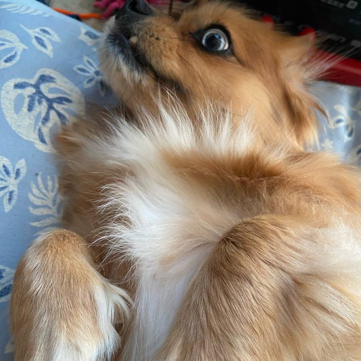 8433a1c2 53e6 4049 97c1 de4dd26d4f05 1615070550379