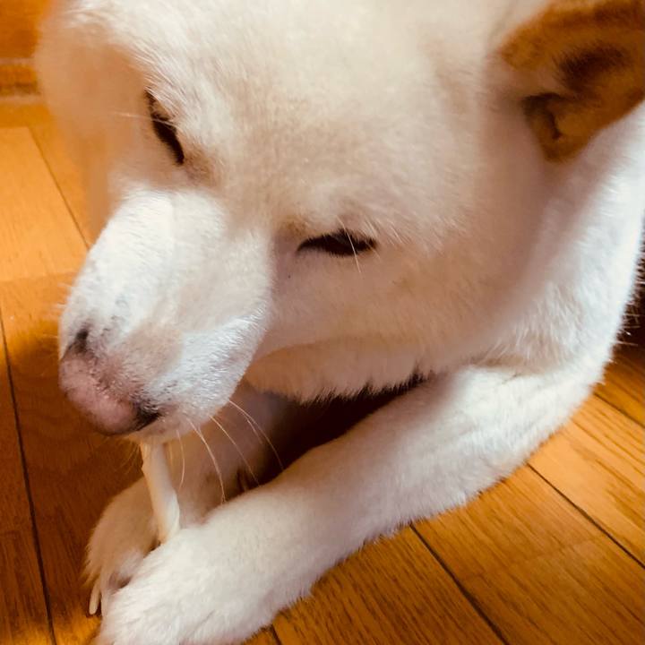 84340fa3 4a8b 4608 a5f1 d810f240681c 1612250124770