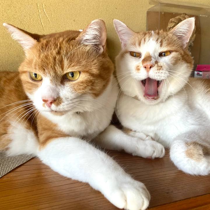 843426ff 48c5 4d74 932a 91c73a8d798b 1756713839204